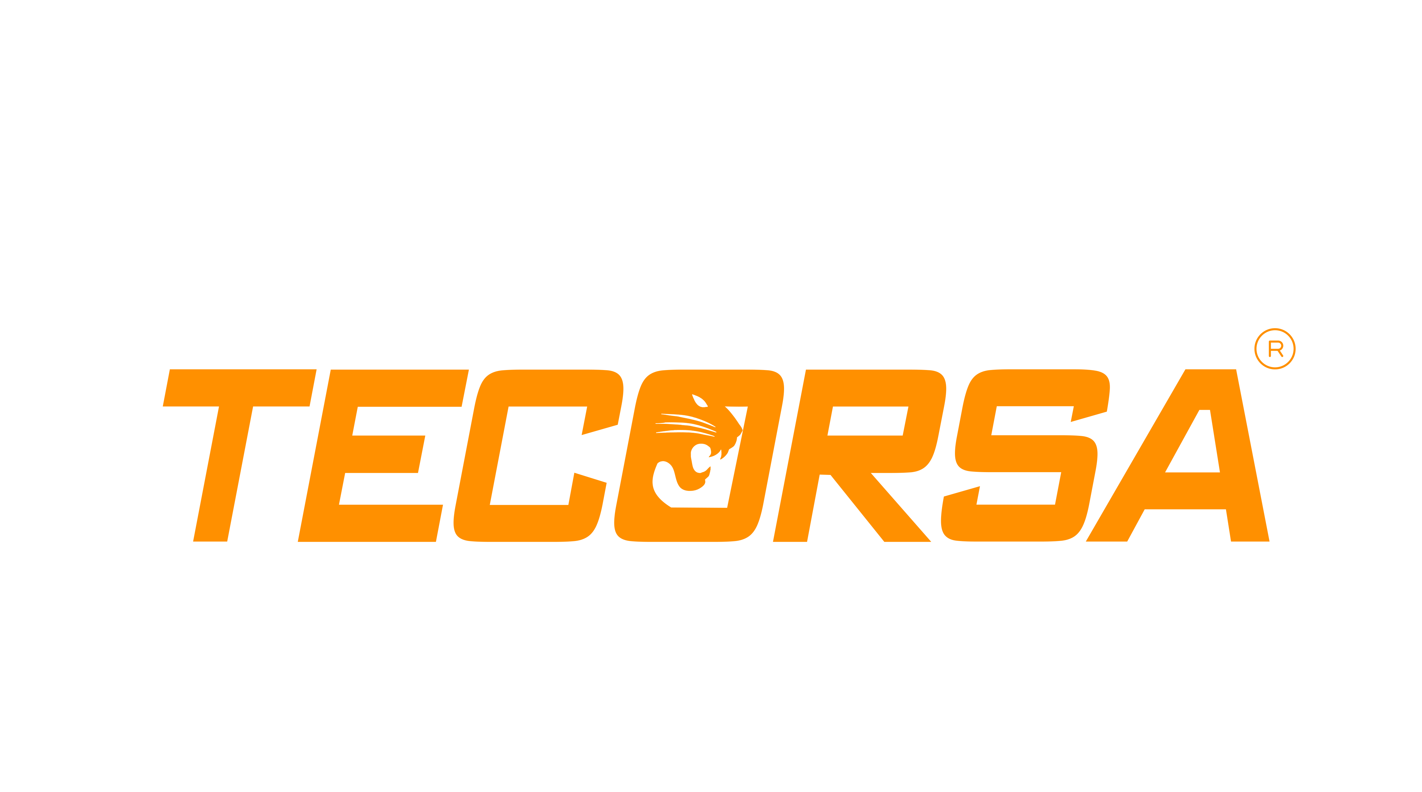 Grupo Tecorsa